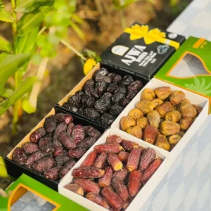 Premium 4-in-1 Dates Combo
